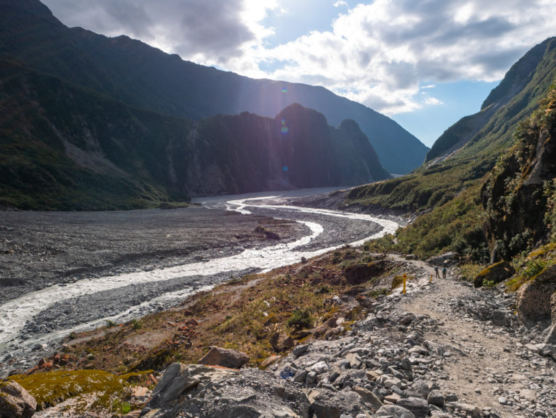 new zealand fox glacier hike