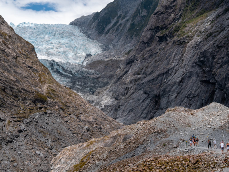 new zealand fox glacier hike trail