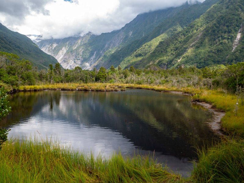 new zealand fox glacier lake