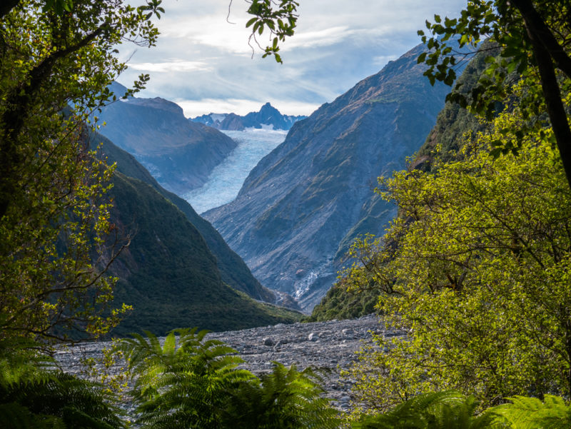 new zealand fox glacier last viewpoint
