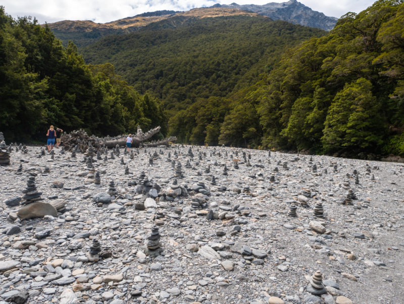 new zealand haast pass area