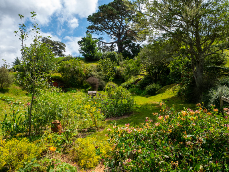 new zealand hobbiton countryside