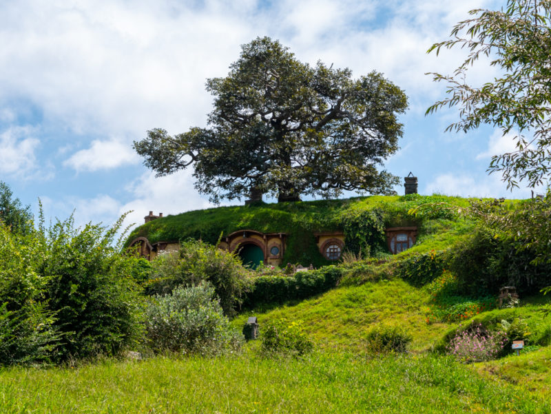 new zealand hobbiton tree on house