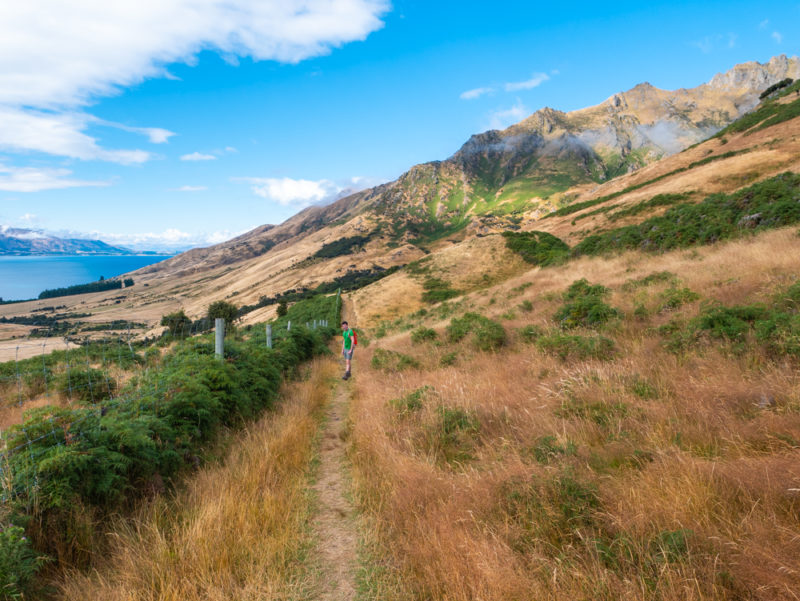 new zealand isthmus peak hike flat trail