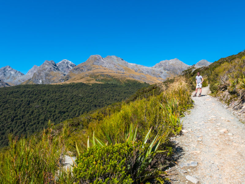 new zealand key summit hiking trail