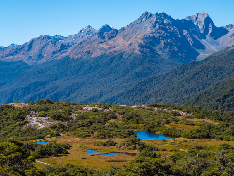 new zealand key summit lakes