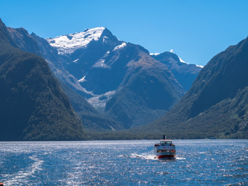 new zealand milford sound boat
