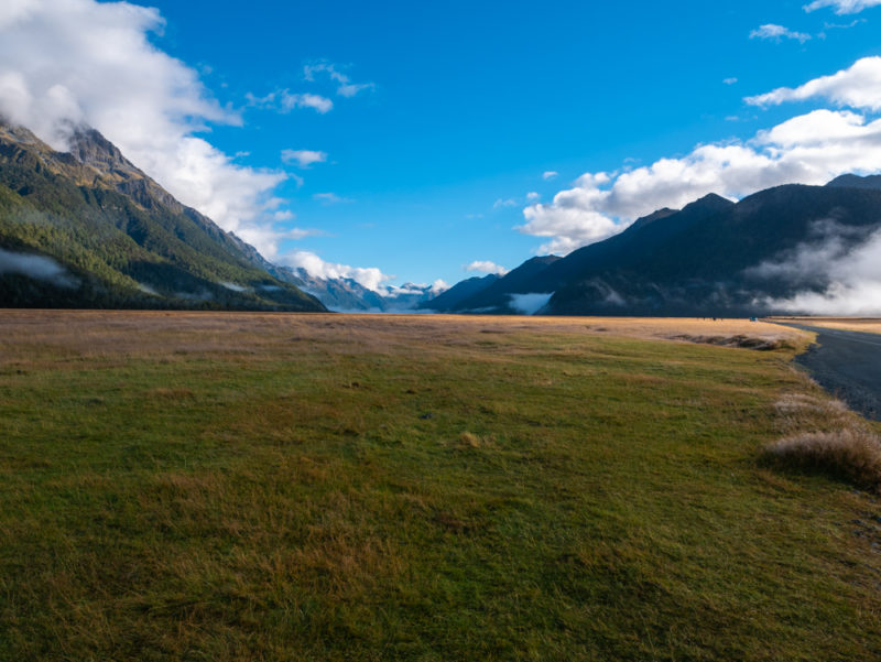 new zealand milford sound meadow