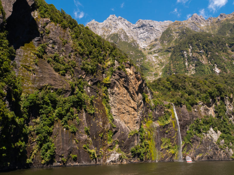 new zealand milford sound small ferry