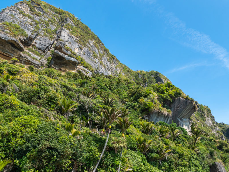 new zealand punakaiki circular hike mountain