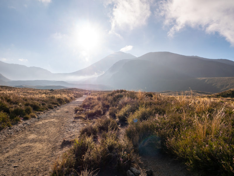 new zealand tongariro crossing path trail