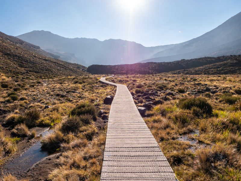 new zealand tongariro crossing wood path