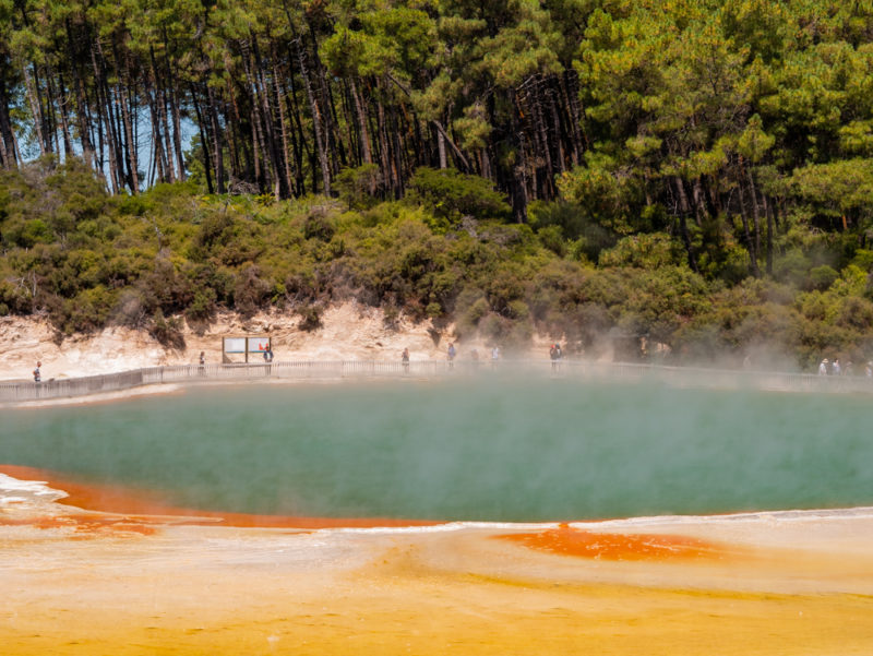 new zealand wai o tapu geothermal park fumes on lake