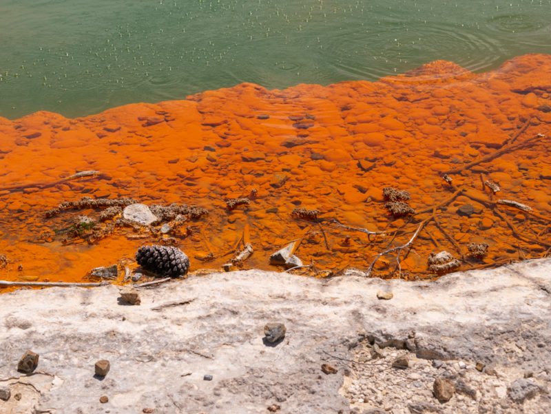 new zealand wai o tapu geothermal park orange