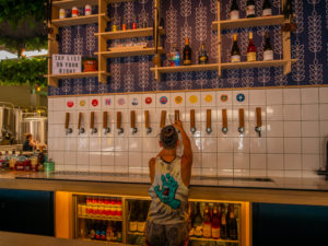 new zealand wellington heyday beers