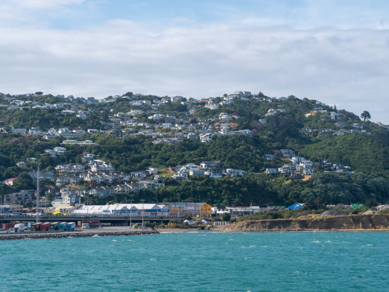 new zealand wellington hill view