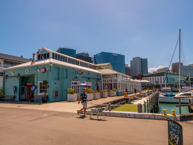 new zealand wellington port shore