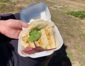 jersey fresh crab sandwich