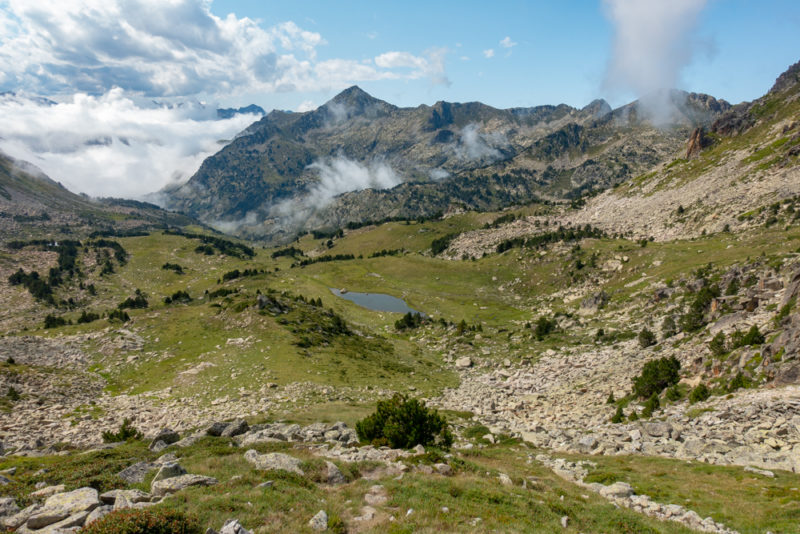 tour des perics paturage