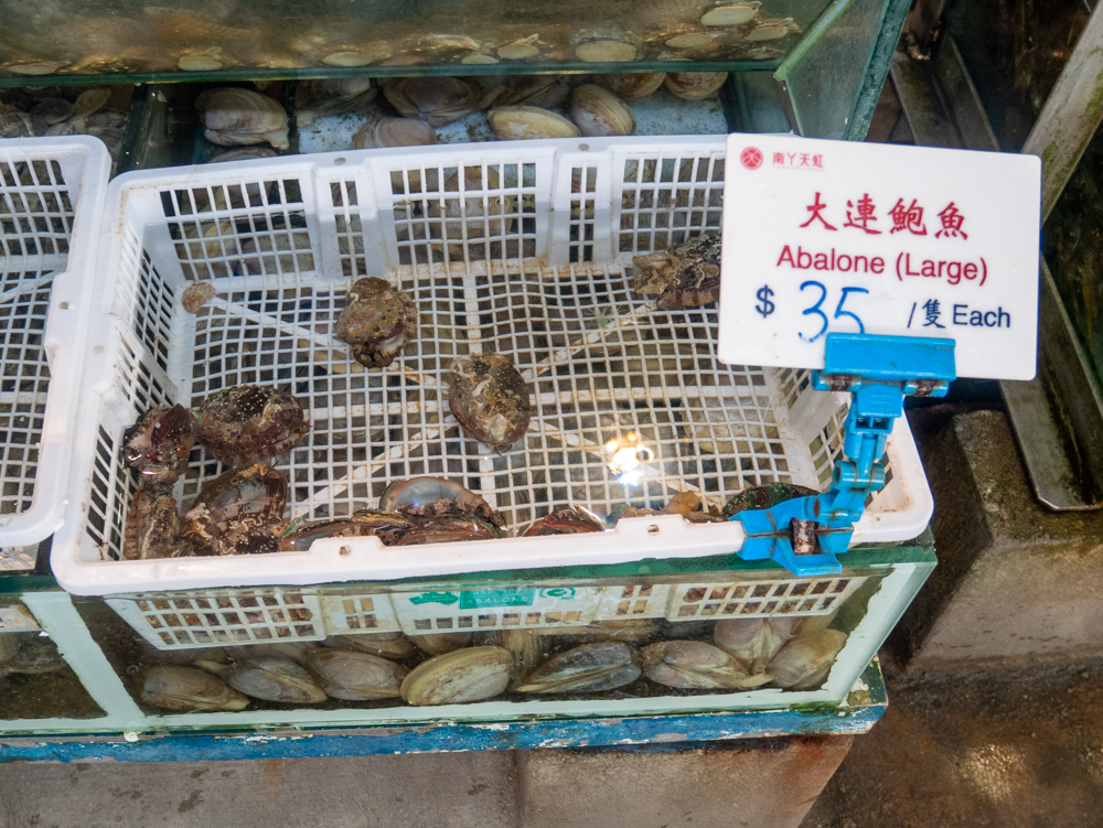 lamma abalone