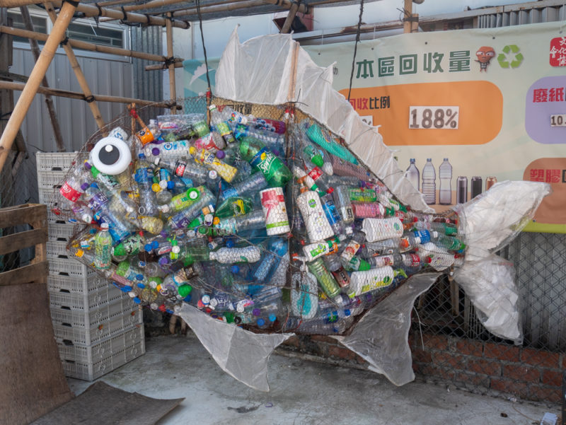 lamma fish from bottles