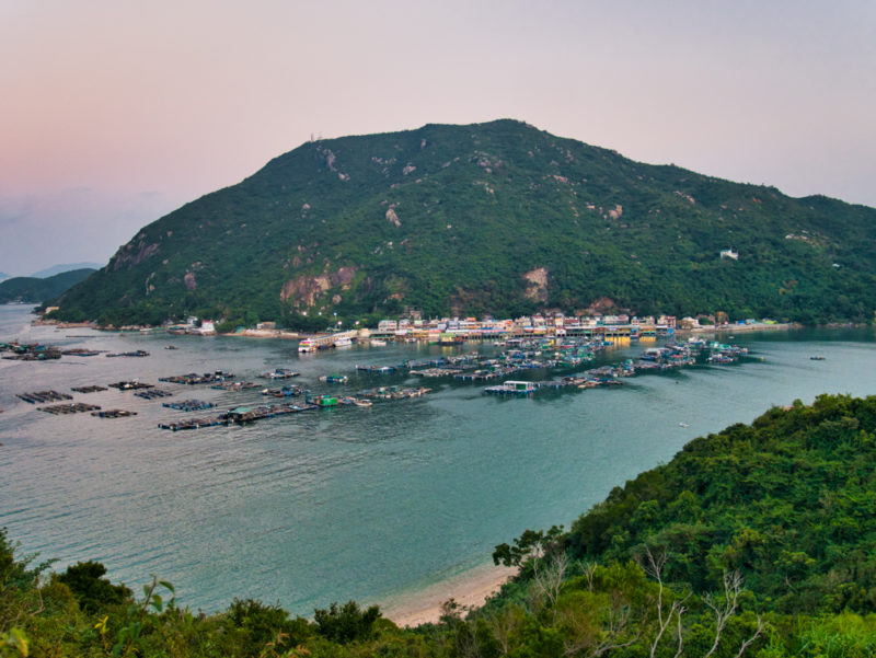lamma south overview