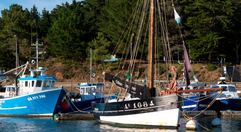 bateaux traditionnels sene golfe du morbihan