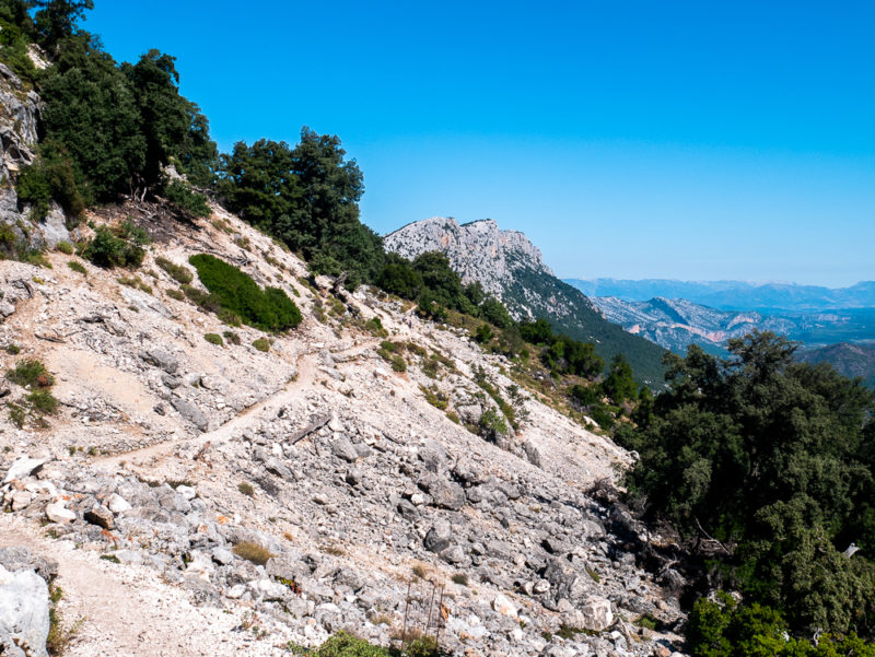 rando gola di gorropu3