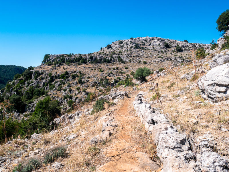 rando taccu isara3 1