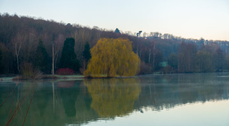 etang de saint lubin