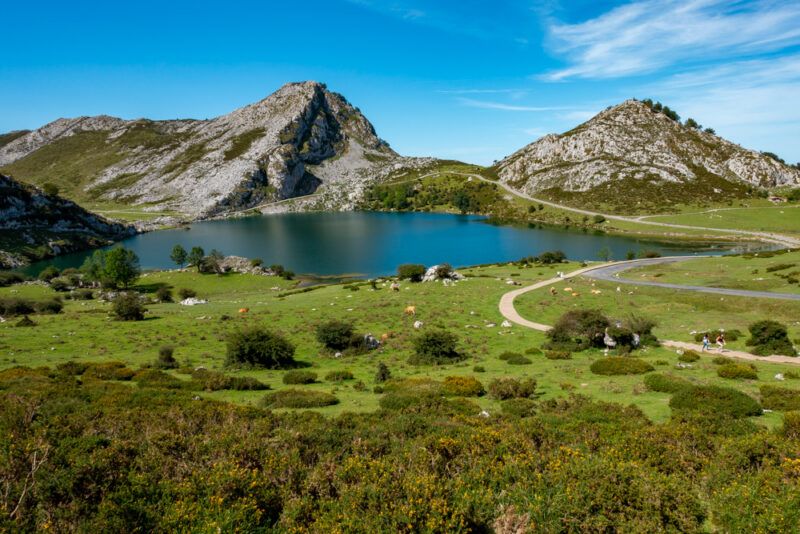 lago de covadonga