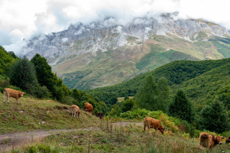 paysage Majada de Monto 