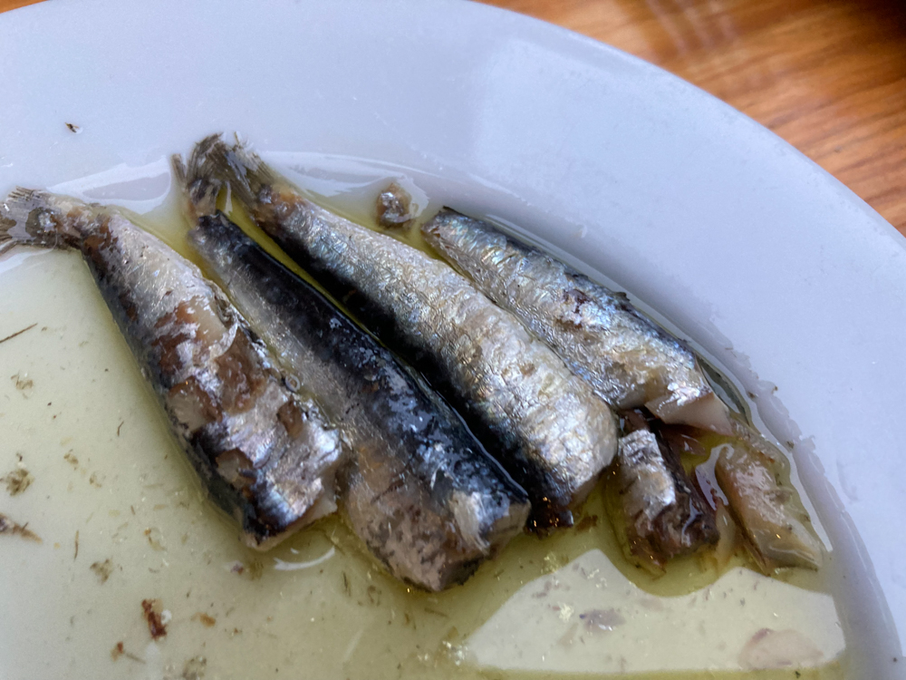 donostia sardines