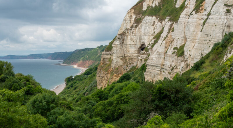 Boucle Beer Branscombe