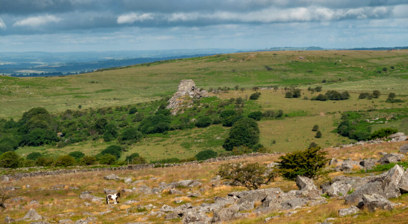 King's Tor Dartmoor