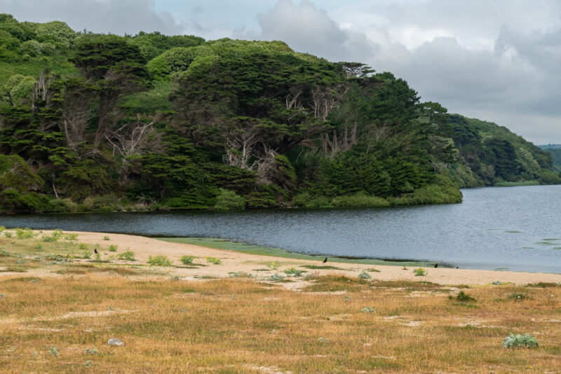 un endroit tranquilles pour les oiseaux