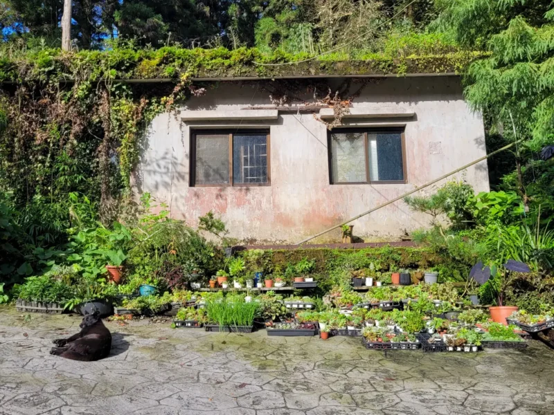 Fenqihu ville paisible