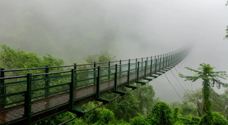 pont de singe walami