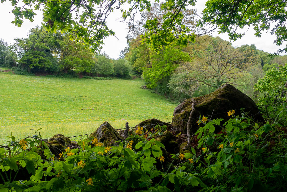 rando cailloux