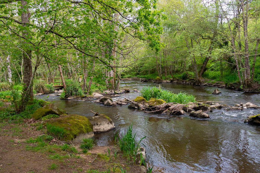 rivieres cailloux