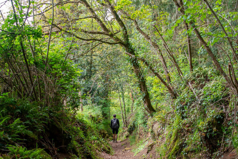 sentier cailloux