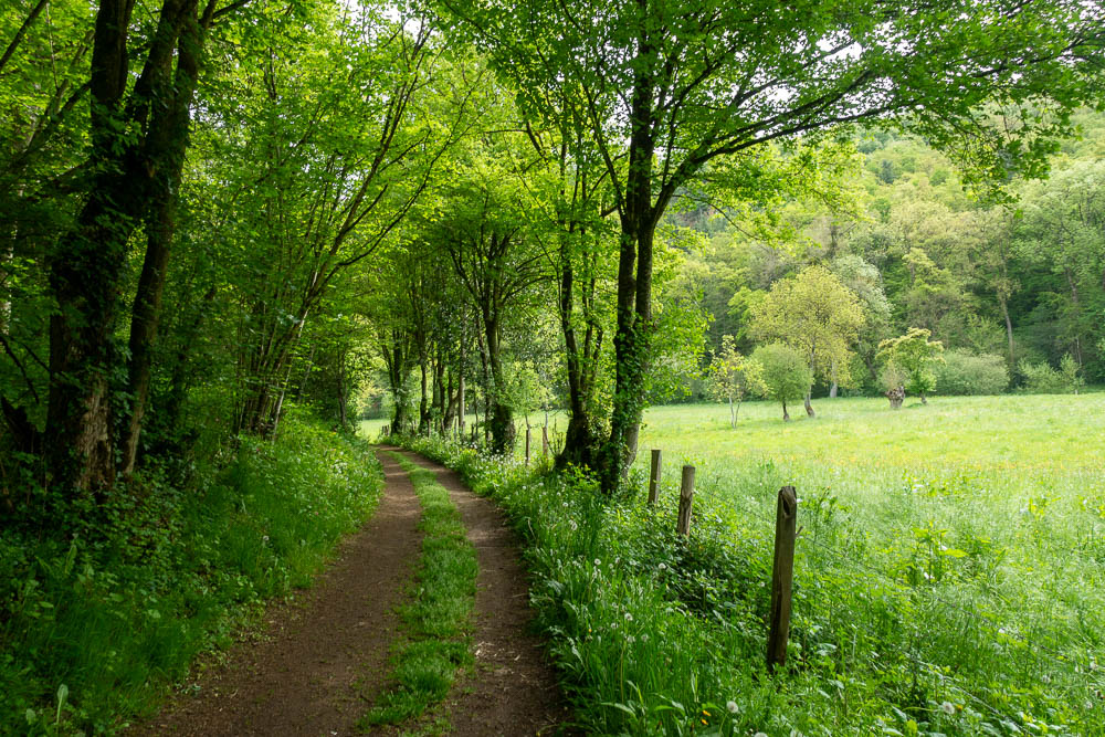 sentier des meandres 1