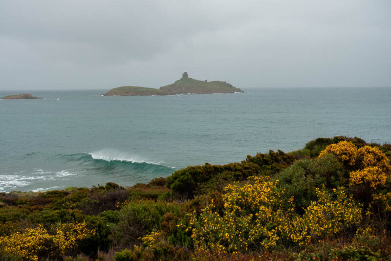 cote sentier des douaniers