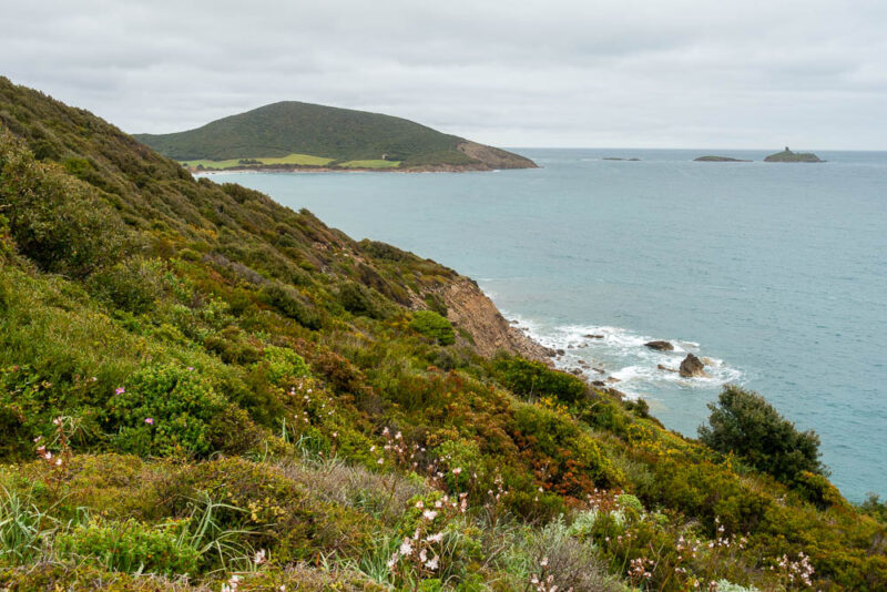 panorama sentier des douaniers macinaggio