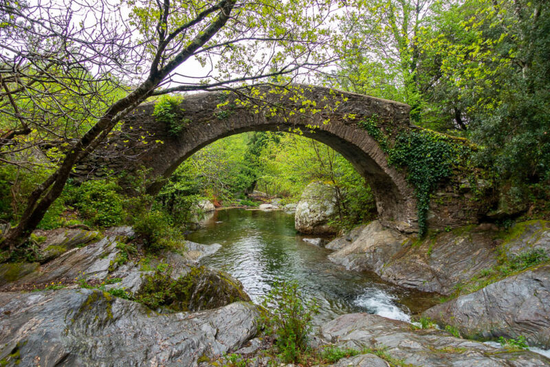 pont de pierre rando petracurbara