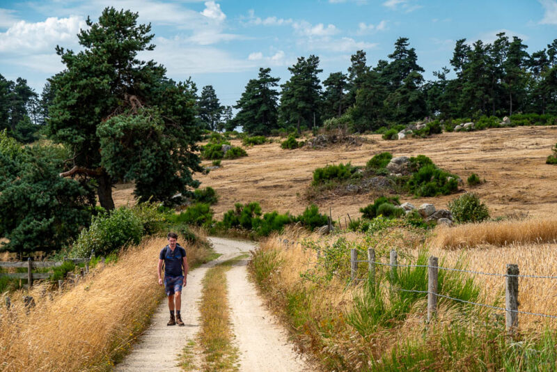 rando Aubrac