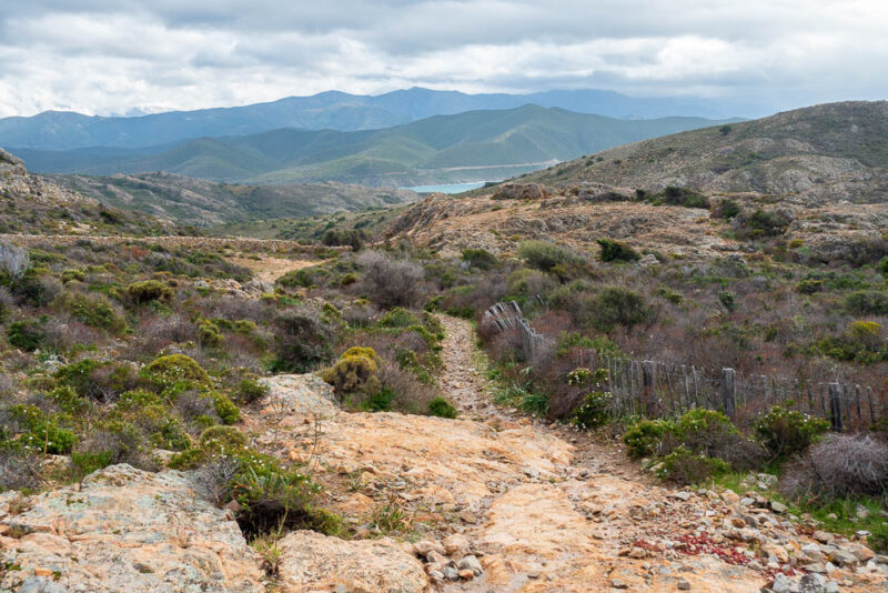 rando punta liatoghju plage dostriconi2