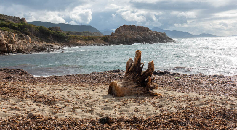 rando Punta Liatoghju plage d’Ostriconi5