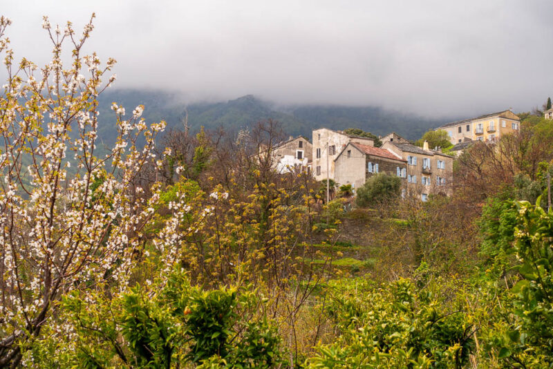 village rando Petracurbara