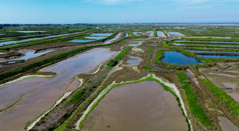 marais salant de ré